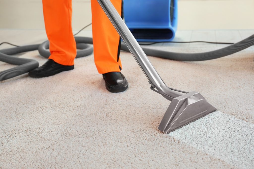 Should You Hire A Professional For Cleaning Your Carpets?