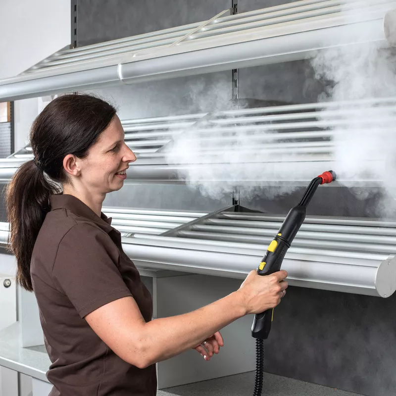 Understanding The Sanitizing Power Of Steam Cleaners